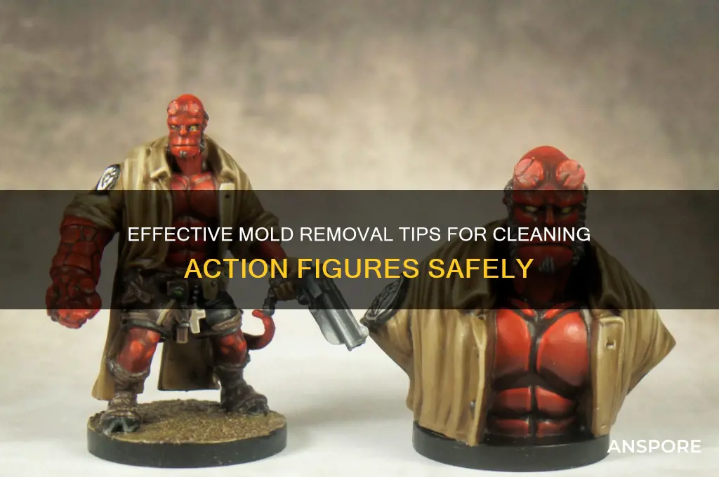 how to remove mold spores from action figures