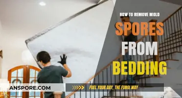 Effective Ways to Eliminate Mold Spores from Your Bedding