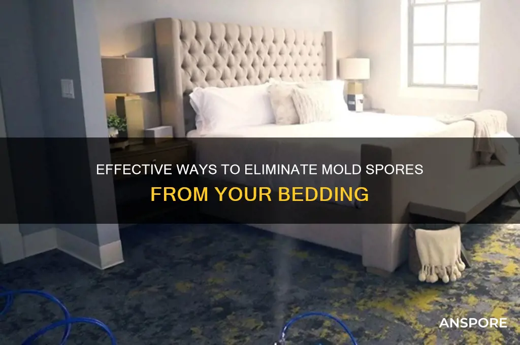how to remove mold spores from bedding