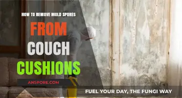 Effective Ways to Eliminate Mold Spores from Couch Cushions