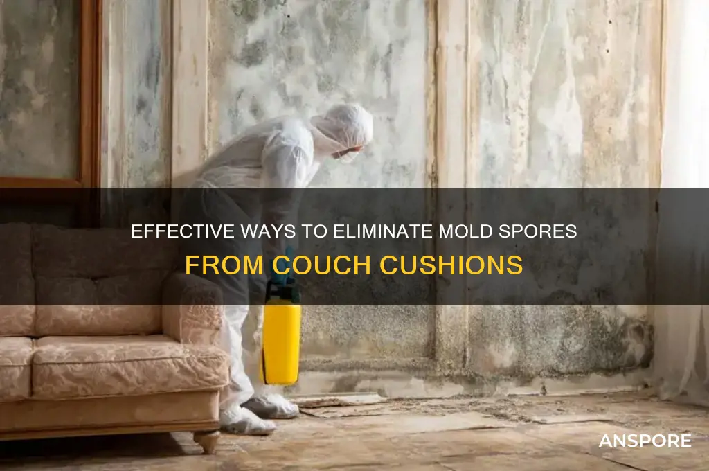 how to remove mold spores from couch cushions