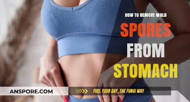 Effective Ways to Eliminate Mold Spores from Your Stomach Naturally