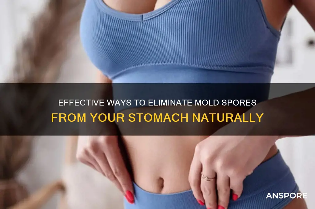how to remove mold spores from stomach