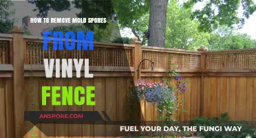 Effective Methods to Eliminate Mold Spores from Your Vinyl Fence