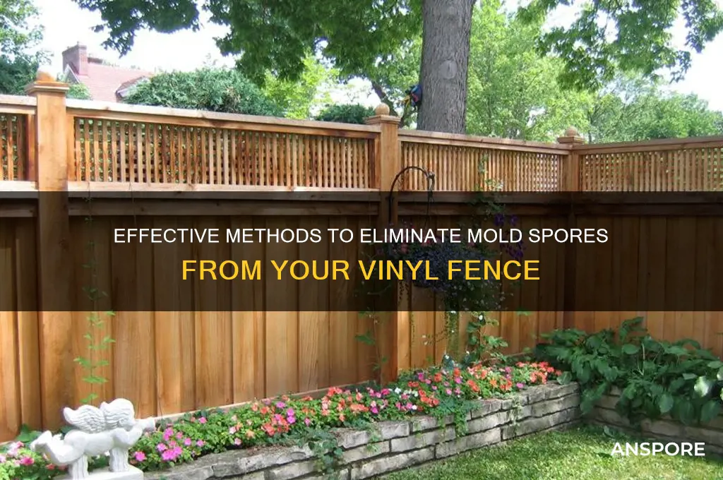 how to remove mold spores from vinyl fence