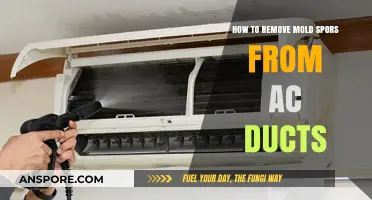 Effective Ways to Eliminate Mold Spores from Your AC Ducts