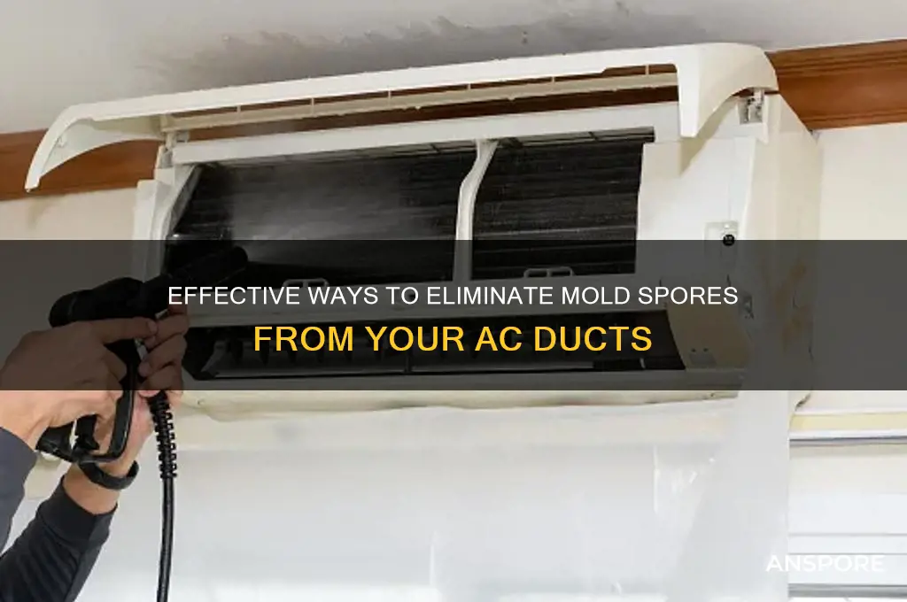 how to remove mold spors from ac ducts