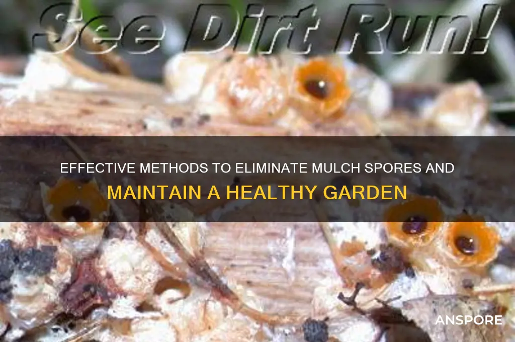 how to remove mulch spores