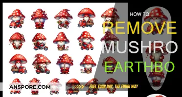 Eradicating Mushrooms: Earthbound Gardening Tips and Tricks