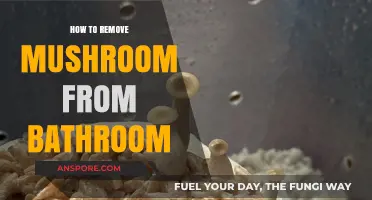 Effective Ways to Eliminate Unwanted Mushrooms in Your Bathroom