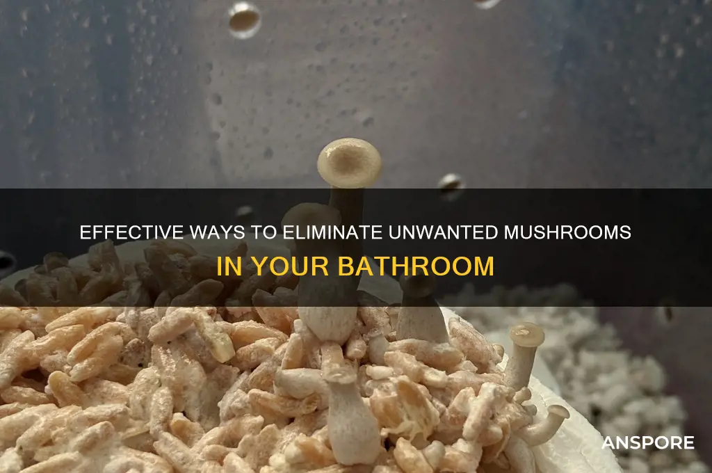 how to remove mushroom from bathroom