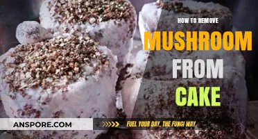 Effective Tips to Safely Remove Mushrooms from Your Cake