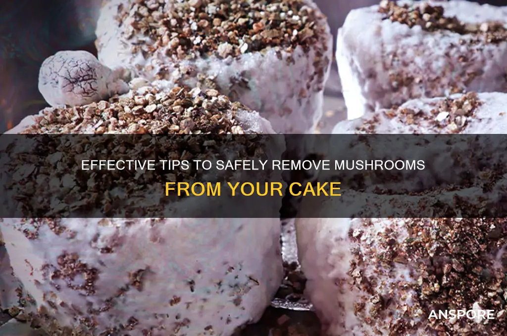 how to remove mushroom from cake