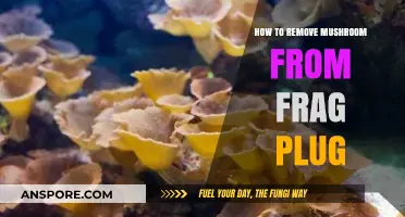 Efficiently Remove Mushrooms from Frag Plugs: A Step-by-Step Guide