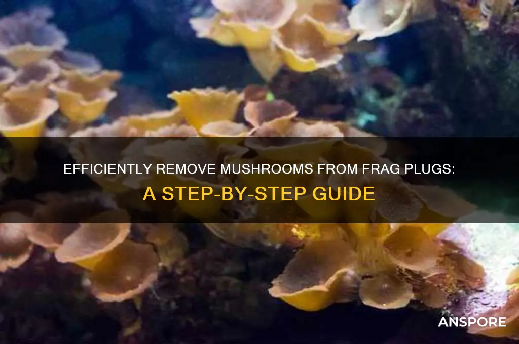 how to remove mushroom from frag plug