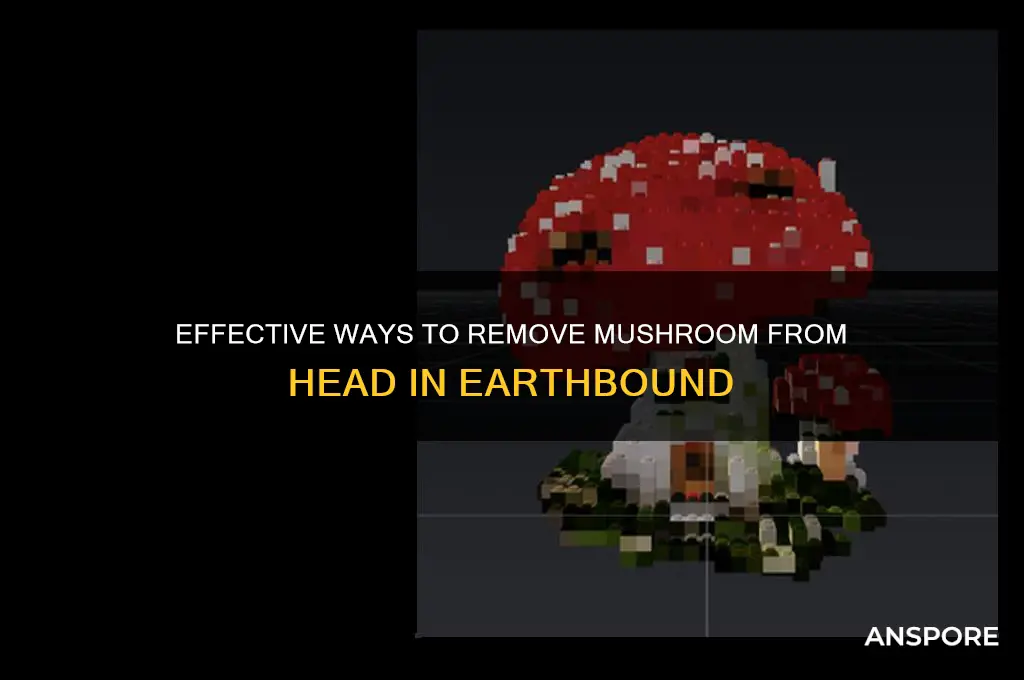 how to remove mushroom from head earthbound