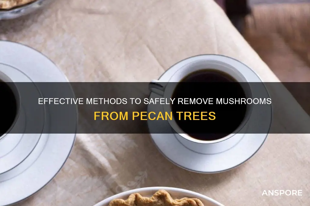 how to remove mushroom from pecan tree