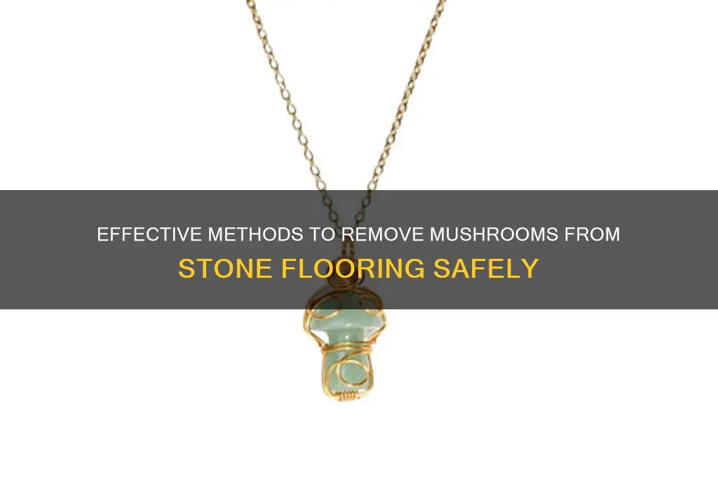 how to remove mushroom from stone flooring