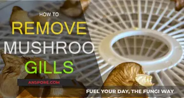 Easiest Ways to Remove Mushroom Gills