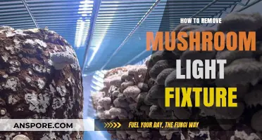 Easy Steps to Remove Your Mushroom Light Fixture Safely