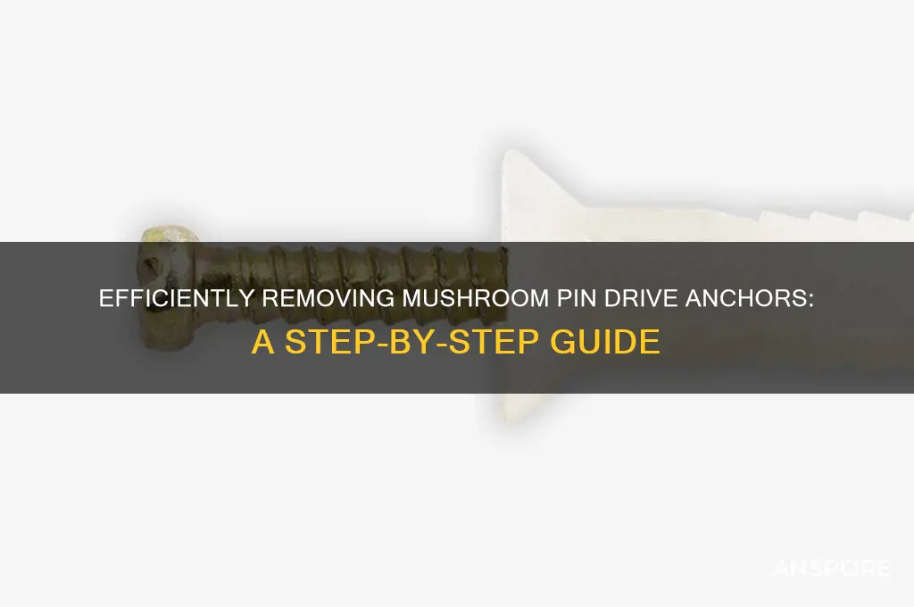 how to remove mushroom pin drive anchor