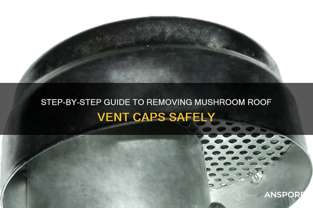 how to remove mushroom roof vent caps