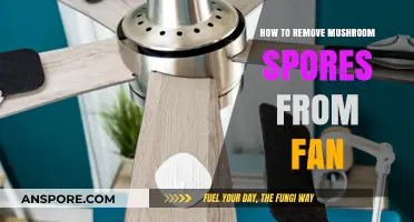 Effective Methods to Clean Mushroom Spores from Your Fan Blades