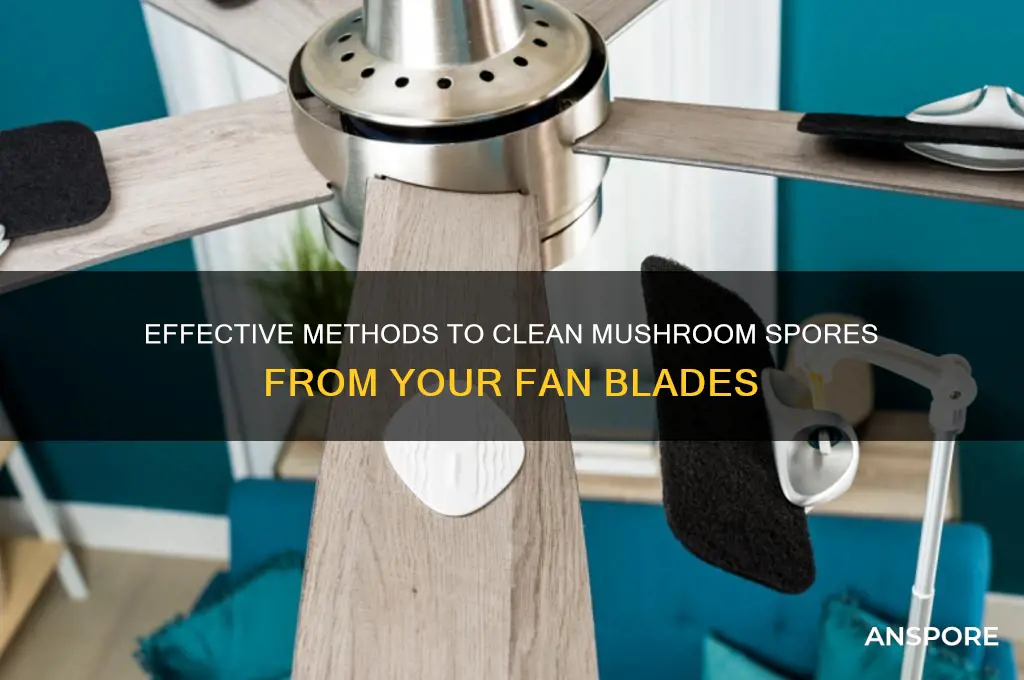 how to remove mushroom spores from fan