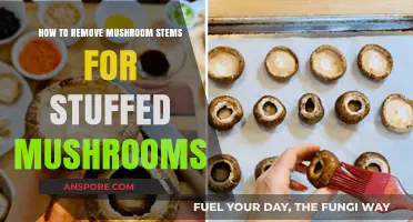 Easy Steps to Remove Mushroom Stems for Perfect Stuffed Mushrooms