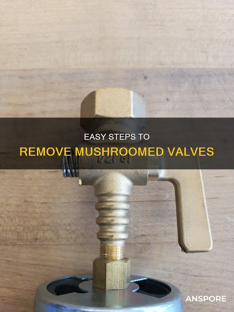 how to remove mushroomed valves