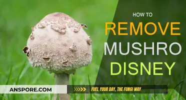 Destroy Mushrooms: Disney's Magical Solution