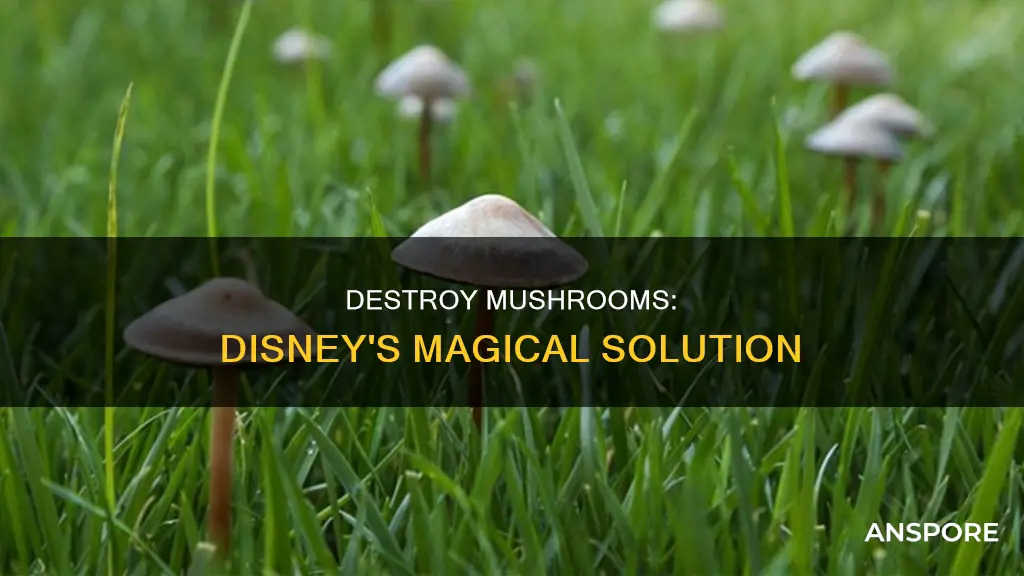 how to remove mushrooms disney