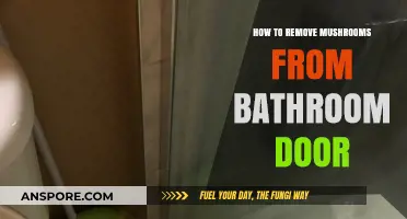 Effective Ways to Eliminate Mushrooms Growing on Your Bathroom Door