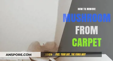 Effective Ways to Safely Remove Mushrooms from Your Carpet