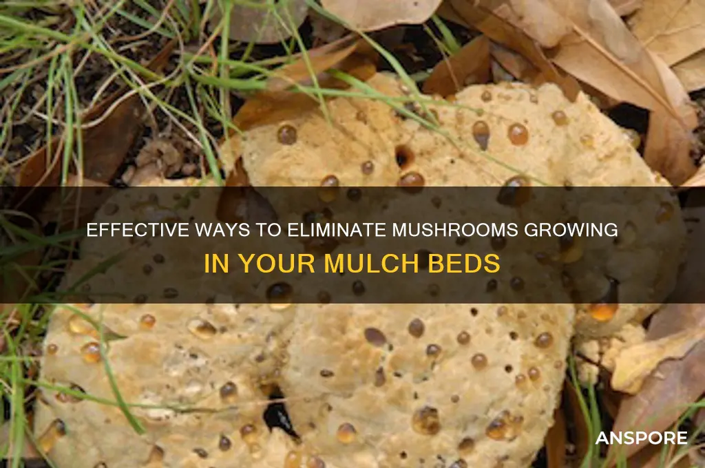 how to remove mushrooms from mulch