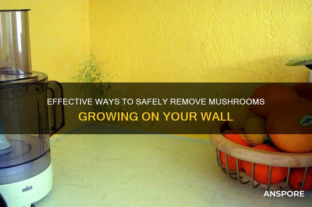 how to remove mushrooms from wall