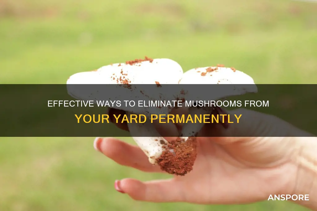 how to remove mushrooms from yard