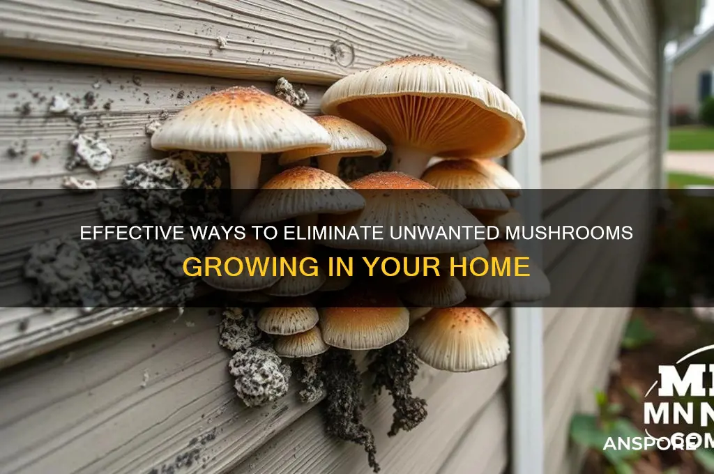 how to remove mushrooms growing in house
