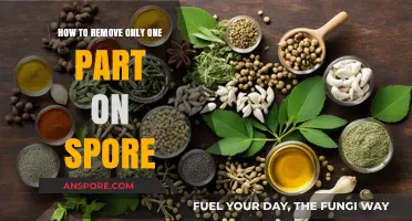 Efficiently Remove Specific Parts in Spore: A Step-by-Step Guide