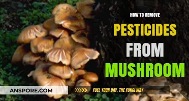 Effective Methods to Safely Remove Pesticides from Fresh Mushrooms