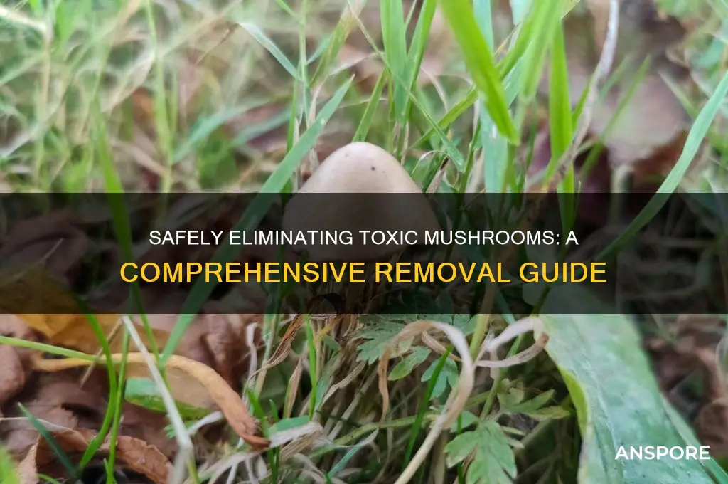 how to remove poisonous mushrooms