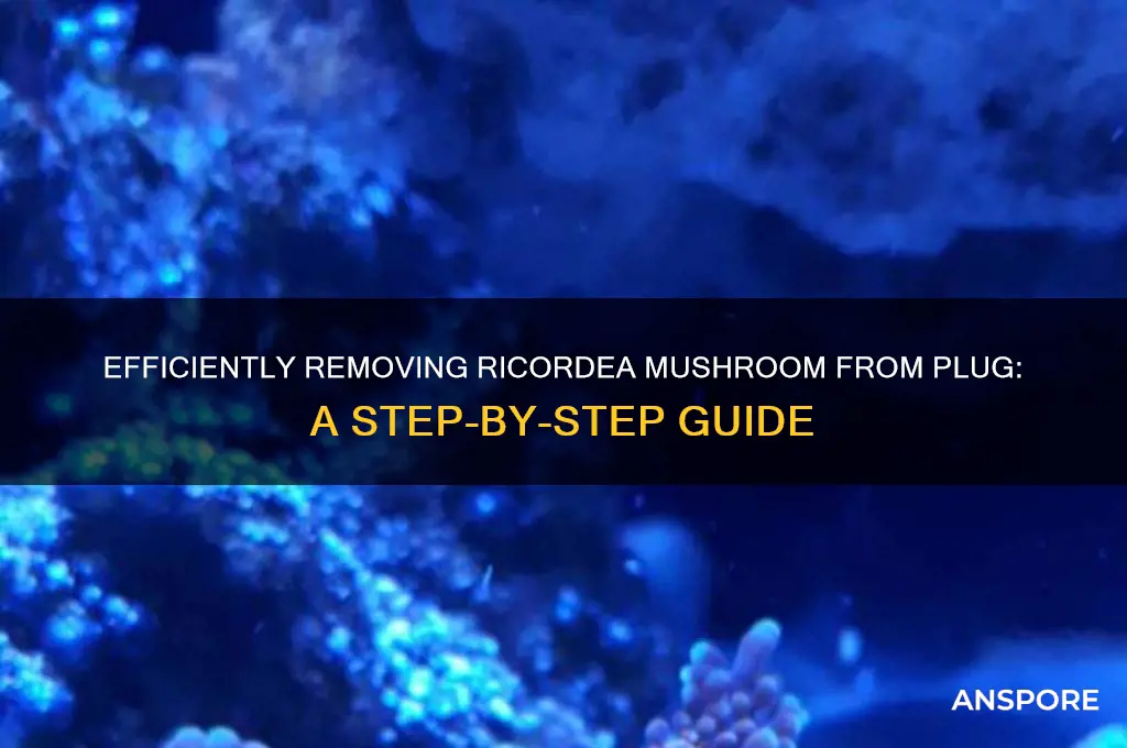 how to remove ricordea mushroom from plug