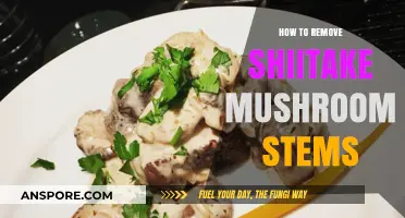 Easy Steps to Remove Shiitake Mushroom Stems for Perfect Cooking