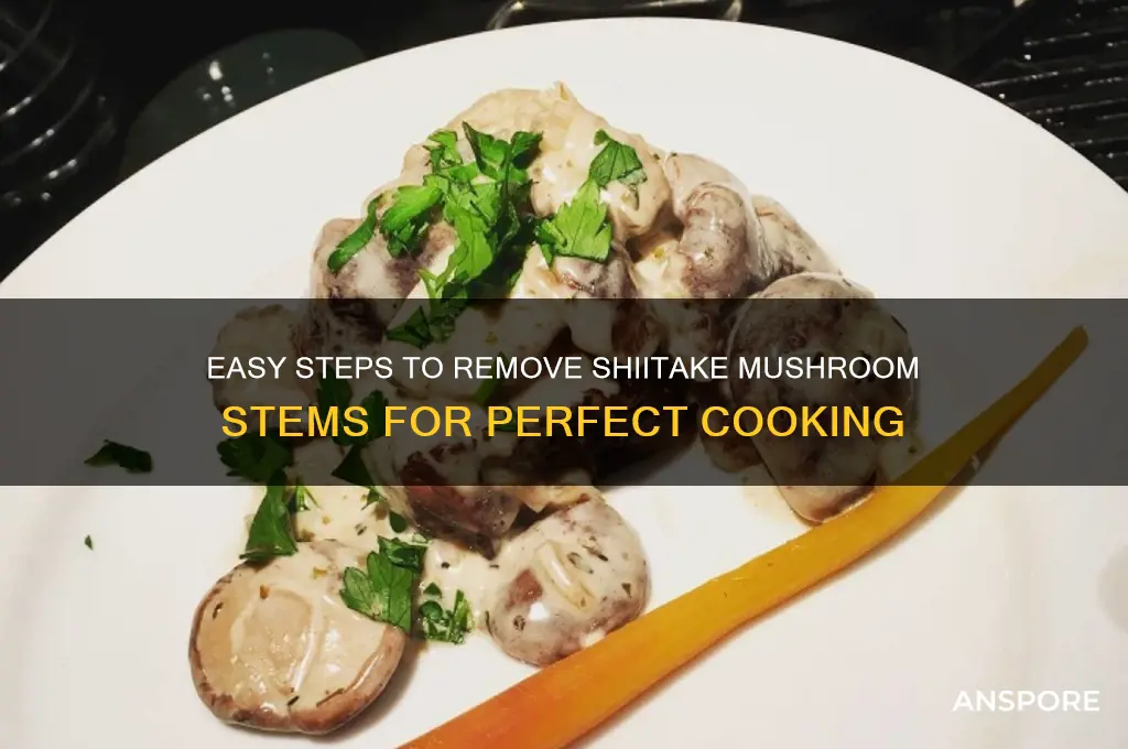 how to remove shiitake mushroom stems
