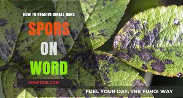 Quick Fixes: Removing Small Dark Spots in Microsoft Word Documents