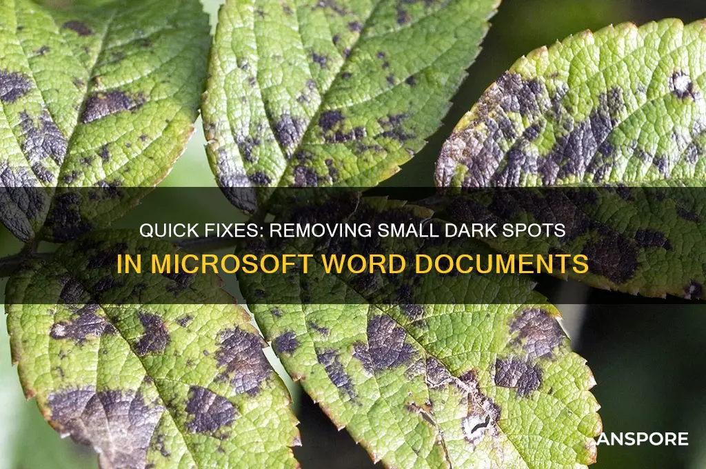how to remove small dark spors on word