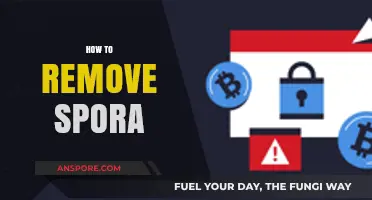 Effective Methods to Remove Spora Ransomware from Your System