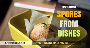 Effective Methods to Remove Spores from Dishes and Utensils