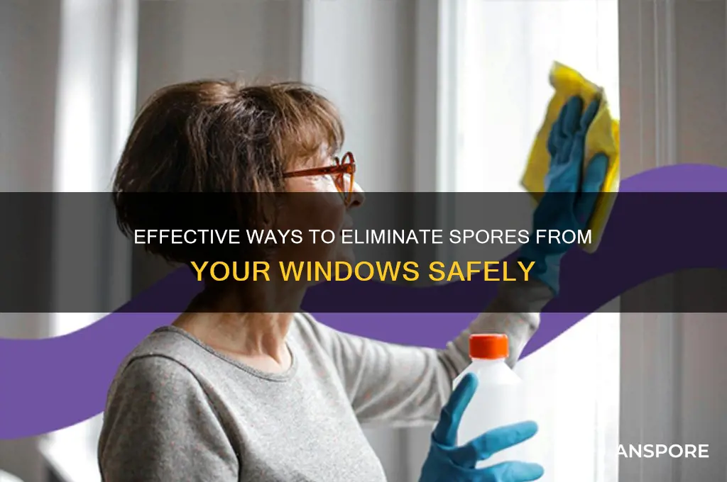 how to remove spores from windows
