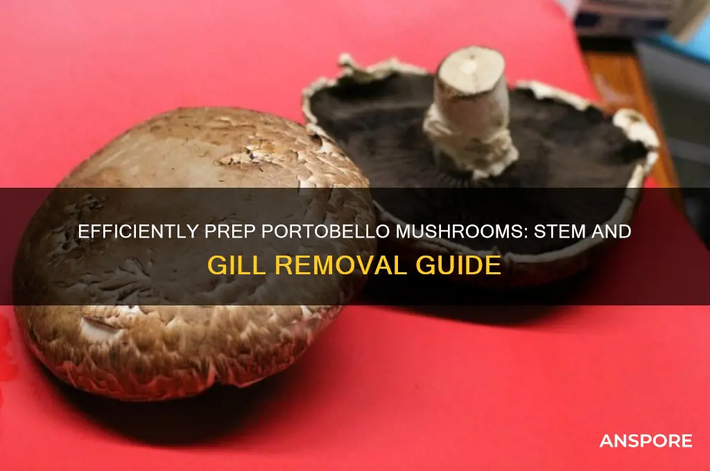 how to remove stem and gil from portobello mushroom